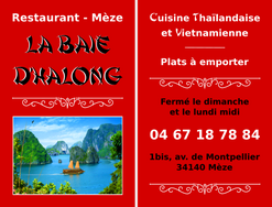 CV_baie_dhalong.png